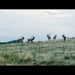 Meet your Posher, Abner